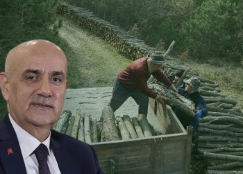 Bakan Kirişçi açıkladı: Kerestede orman köylüsüne yüzde 70 indirim