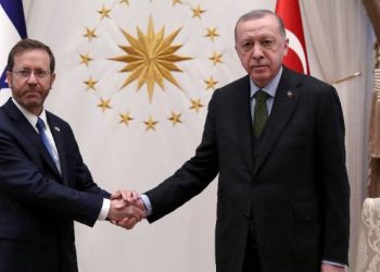 Erdoğan, Herzog ile görüştü