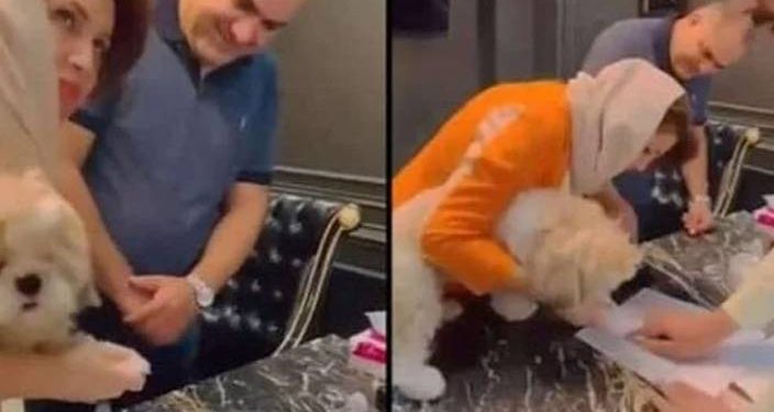 Evi köpeğine devretti, tutuklandı