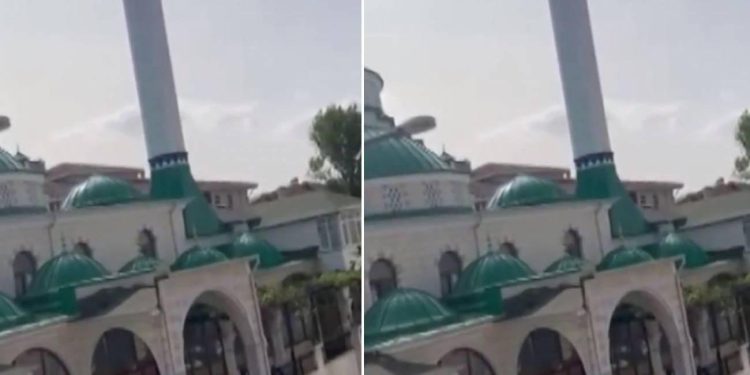 Camiden yapılan ‘Kedi üzgün’ anonsu viral oldu! Herkesi gülümseten o anlar…